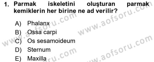Temel Veteriner Anatomi Dersi 2017 - 2018 Yılı (Vize) Ara Sınav Soruları 1. Soru