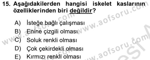 Temel Veteriner Anatomi Dersi Ara Sınavı Deneme Sınav Soruları 15. Soru