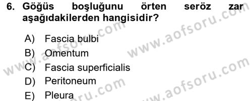 Temel Veteriner Anatomi Dersi Ara Sınavı Deneme Sınav Soruları 6. Soru