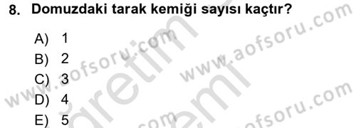 Temel Veteriner Anatomi Dersi 2017 - 2018 Yılı (Vize) Ara Sınav Soruları 8. Soru