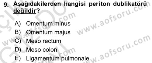 Temel Veteriner Anatomi Dersi Ara Sınavı Deneme Sınav Soruları 9. Soru