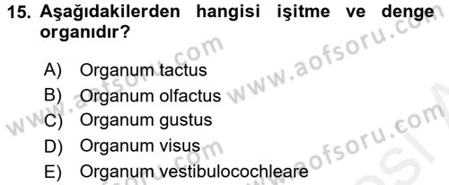 Temel Veteriner Anatomi Dersi 2017 - 2018 Yılı (Final) Dönem Sonu Sınav Soruları 15. Soru