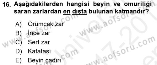 Temel Veteriner Anatomi Dersi 2017 - 2018 Yılı (Final) Dönem Sonu Sınavı 16. Soru