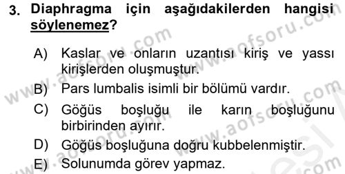 Temel Veteriner Anatomi Dersi 2017 - 2018 Yılı (Final) Dönem Sonu Sınav Soruları 3. Soru