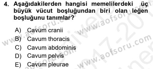 Temel Veteriner Anatomi Dersi 2017 - 2018 Yılı (Final) Dönem Sonu Sınav Soruları 4. Soru