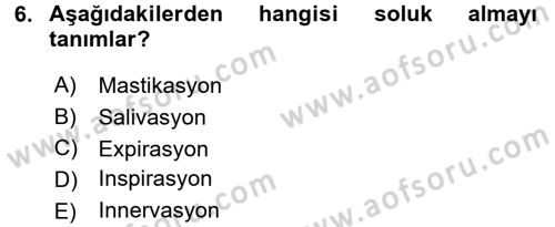 Temel Veteriner Anatomi Dersi 2017 - 2018 Yılı (Final) Dönem Sonu Sınav Soruları 6. Soru