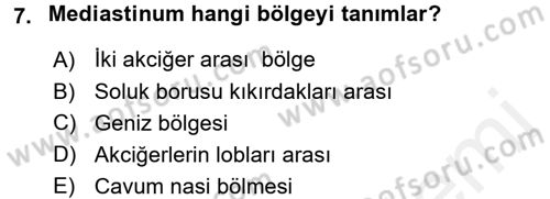 Temel Veteriner Anatomi Dersi 2017 - 2018 Yılı (Final) Dönem Sonu Sınav Soruları 7. Soru