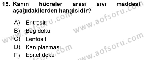 Temel Veteriner Anatomi Dersi 2018 - 2019 Yılı 3 Ders Sınav Soruları 15. Soru