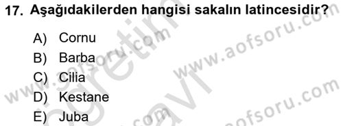 Temel Veteriner Anatomi Dersi 2018 - 2019 Yılı 3 Ders Sınav Soruları 17. Soru