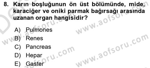 Temel Veteriner Anatomi Dersi 2018 - 2019 Yılı 3 Ders Sınav Soruları 8. Soru