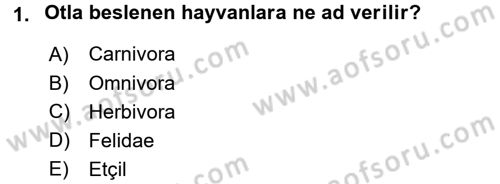 Temel Veteriner Anatomi Dersi Ara Sınavı Deneme Sınav Soruları 1. Soru