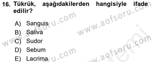 Temel Veteriner Anatomi Dersi Ara Sınavı Deneme Sınav Soruları 16. Soru