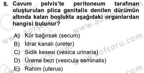 Temel Veteriner Anatomi Dersi Ara Sınavı Deneme Sınav Soruları 8. Soru