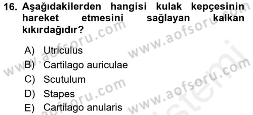 Temel Veteriner Anatomi Dersi 2018 - 2019 Yılı (Final) Dönem Sonu Sınav Soruları 16. Soru