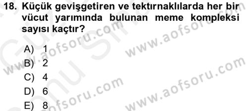 Temel Veteriner Anatomi Dersi 2018 - 2019 Yılı (Final) Dönem Sonu Sınav Soruları 18. Soru