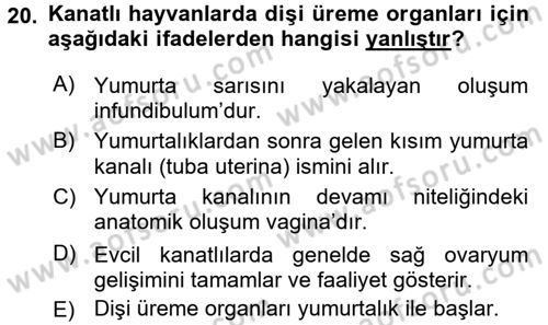Temel Veteriner Anatomi Dersi 2018 - 2019 Yılı (Final) Dönem Sonu Sınav Soruları 20. Soru