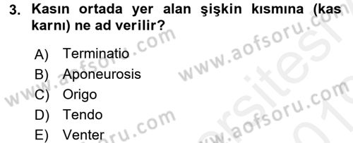 Temel Veteriner Anatomi Dersi 2018 - 2019 Yılı (Final) Dönem Sonu Sınav Soruları 3. Soru