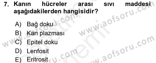 Temel Veteriner Anatomi Dersi 2018 - 2019 Yılı (Final) Dönem Sonu Sınav Soruları 7. Soru