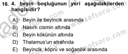 Temel Veteriner Anatomi Dersi 2018 - 2019 Yılı Yaz Okulu Sınavı 16. Soru