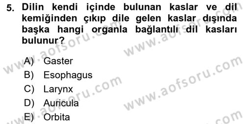 Temel Veteriner Anatomi Dersi 2018 - 2019 Yılı Yaz Okulu Sınavı 5. Soru