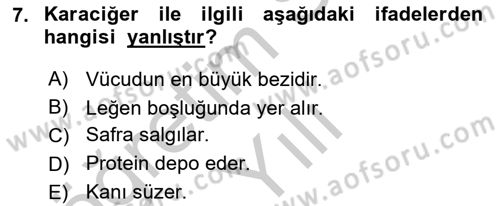 Temel Veteriner Anatomi Dersi 2018 - 2019 Yılı Yaz Okulu Sınav Soruları 7. Soru