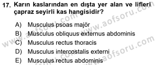 Temel Veteriner Anatomi Dersi 2019 - 2020 Yılı (Vize) Ara Sınavı 17. Soru