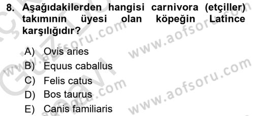 Temel Veteriner Anatomi Dersi 2019 - 2020 Yılı (Vize) Ara Sınav Soruları 8. Soru