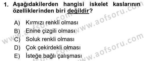 Temel Veteriner Anatomi Dersi 2019 - 2020 Yılı (Final) Dönem Sonu Sınav Soruları 1. Soru