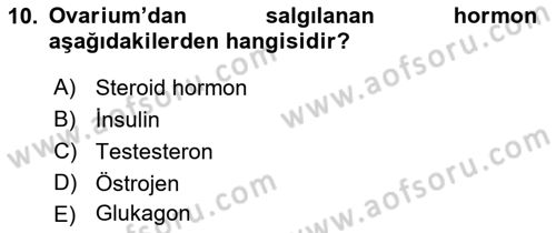 Temel Veteriner Anatomi Dersi 2019 - 2020 Yılı (Final) Dönem Sonu Sınavı 10. Soru