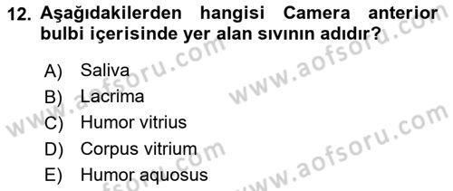 Temel Veteriner Anatomi Dersi 2019 - 2020 Yılı (Final) Dönem Sonu Sınavı 12. Soru