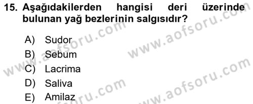 Temel Veteriner Anatomi Dersi 2019 - 2020 Yılı (Final) Dönem Sonu Sınav Soruları 15. Soru