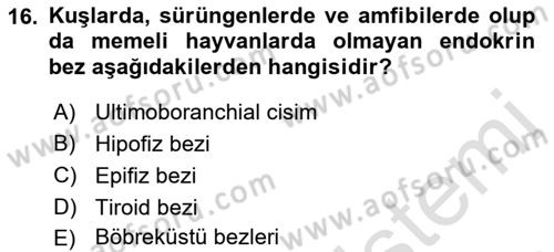 Temel Veteriner Anatomi Dersi 2019 - 2020 Yılı (Final) Dönem Sonu Sınavı 16. Soru