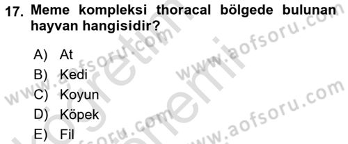 Temel Veteriner Anatomi Dersi 2019 - 2020 Yılı (Final) Dönem Sonu Sınav Soruları 17. Soru