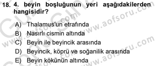 Temel Veteriner Anatomi Dersi 2019 - 2020 Yılı (Final) Dönem Sonu Sınav Soruları 18. Soru