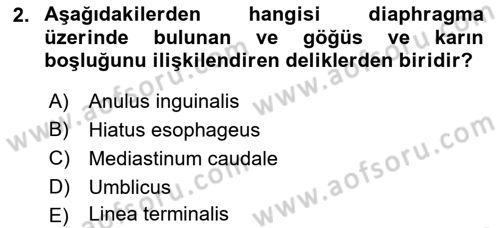 Temel Veteriner Anatomi Dersi 2019 - 2020 Yılı (Final) Dönem Sonu Sınav Soruları 2. Soru