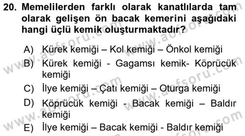 Temel Veteriner Anatomi Dersi 2019 - 2020 Yılı (Final) Dönem Sonu Sınav Soruları 20. Soru
