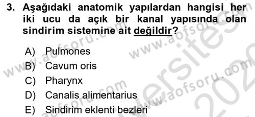 Temel Veteriner Anatomi Dersi 2019 - 2020 Yılı (Final) Dönem Sonu Sınav Soruları 3. Soru