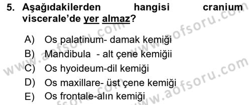 Temel Veteriner Anatomi Dersi 2019 - 2020 Yılı (Final) Dönem Sonu Sınav Soruları 5. Soru