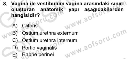 Temel Veteriner Anatomi Dersi 2019 - 2020 Yılı (Final) Dönem Sonu Sınav Soruları 8. Soru
