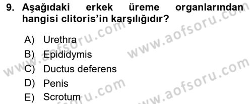 Temel Veteriner Anatomi Dersi 2019 - 2020 Yılı (Final) Dönem Sonu Sınav Soruları 9. Soru