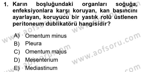 Temel Veteriner Anatomi Dersi 2020 - 2021 Yılı Yaz Okulu Sınav Soruları 1. Soru