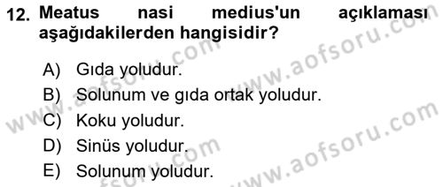 Temel Veteriner Anatomi Dersi 2020 - 2021 Yılı Yaz Okulu Sınav Soruları 12. Soru