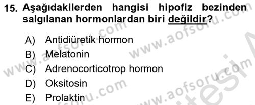 Temel Veteriner Anatomi Dersi 2020 - 2021 Yılı Yaz Okulu Sınav Soruları 15. Soru