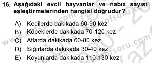 Temel Veteriner Anatomi Dersi 2020 - 2021 Yılı Yaz Okulu Sınav Soruları 16. Soru