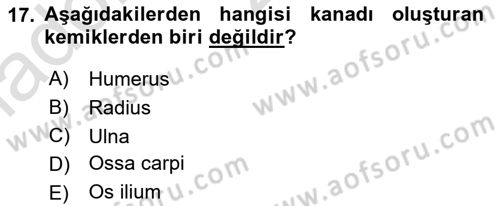 Temel Veteriner Anatomi Dersi 2020 - 2021 Yılı Yaz Okulu Sınav Soruları 17. Soru