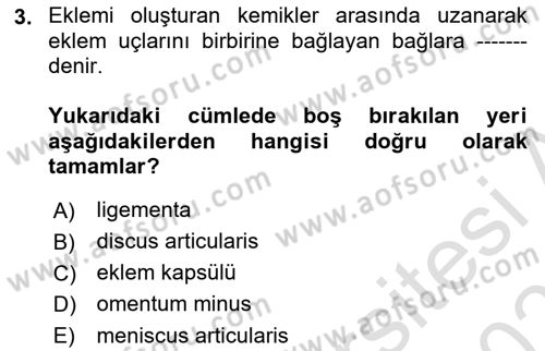 Temel Veteriner Anatomi Dersi 2020 - 2021 Yılı Yaz Okulu Sınav Soruları 3. Soru