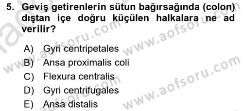 Temel Veteriner Anatomi Dersi 2020 - 2021 Yılı Yaz Okulu Sınav Soruları 5. Soru