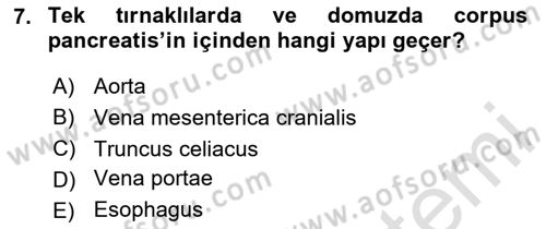 Temel Veteriner Anatomi Dersi 2020 - 2021 Yılı Yaz Okulu Sınav Soruları 7. Soru