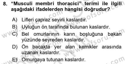 Temel Veteriner Anatomi Dersi 2020 - 2021 Yılı Yaz Okulu Sınav Soruları 8. Soru