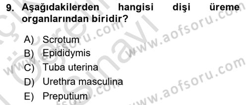 Temel Veteriner Anatomi Dersi 2020 - 2021 Yılı Yaz Okulu Sınav Soruları 9. Soru